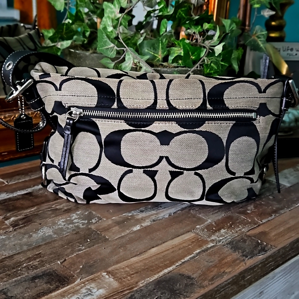 Coach purse E1194-F15068